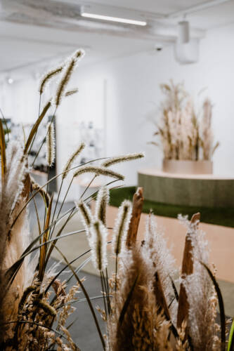 Maeder Imholz 180923 016